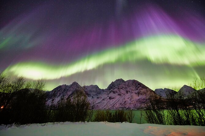 Minivan Northern Lights excursion (8 guests per minivan) - Limitations and Considerations