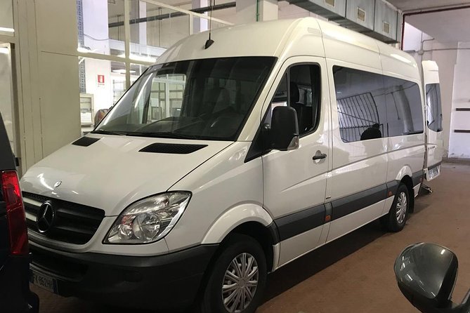 Minivan suitable for transporting disabled people with a wheelchair - Discover Rome Without Barriers in a Private Wheelchair-Accessible Minivan