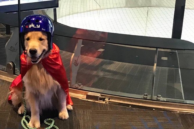 Minneapolis Indoor Skydiving Admission with 2 Flights & Personalized Certificate - The Safety and Accessibility of Indoor Skydiving