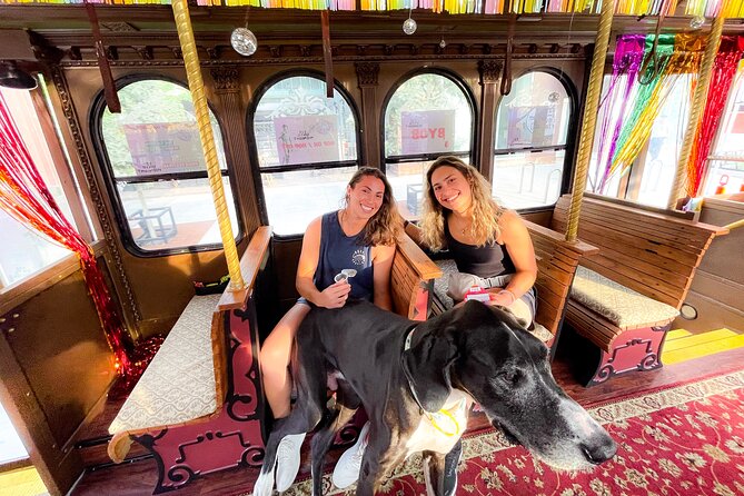 Minneapolis Narrated Scenic Sightseeing Trolley Tour - Practical Tips and Considerations