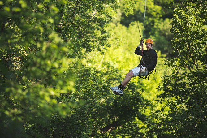 Minnesota River Valley 14-Line Thrilling Zipline Canopy Tour - Guides Known for Expertise and Humor