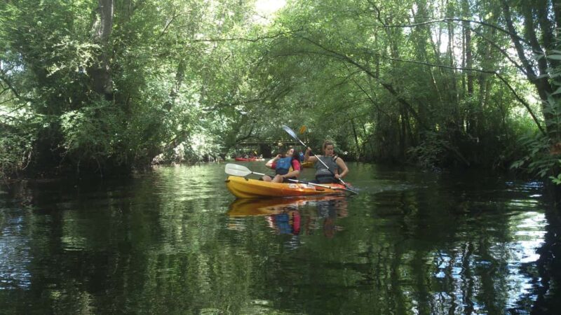 Miño river Kayaking: Biosphere reserve exploration - From the Meeting Point to the Riverside Forest
