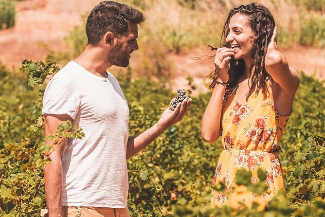 Minoan Crete from 3.000 BC: Knossos Palace & Museum with Wineries from Heraklion - Sampling Cretan Wines in the Messara Valley