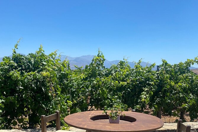 Minoan Crete: Knossos Palace, Winery Visit and Lunch at Archanes - Exploring the Village of Archanes and Enjoying Local Cuisine