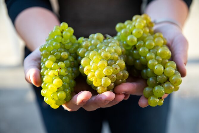 Minoan Crete: Knossos Palace, Winery Visit and Lunch at Archanes - Flexible and Customizable Itinerary