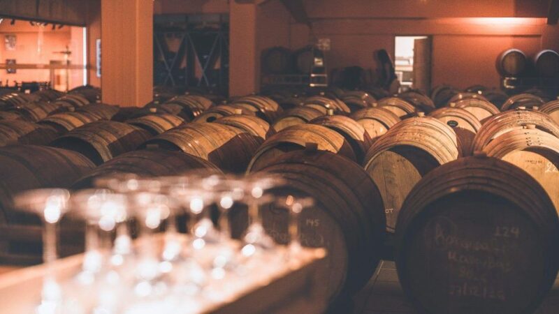 Minoan Luxuries: Ancient Palaces, Messara Wineries & Matala - Who Will Enjoy This Tour Most?