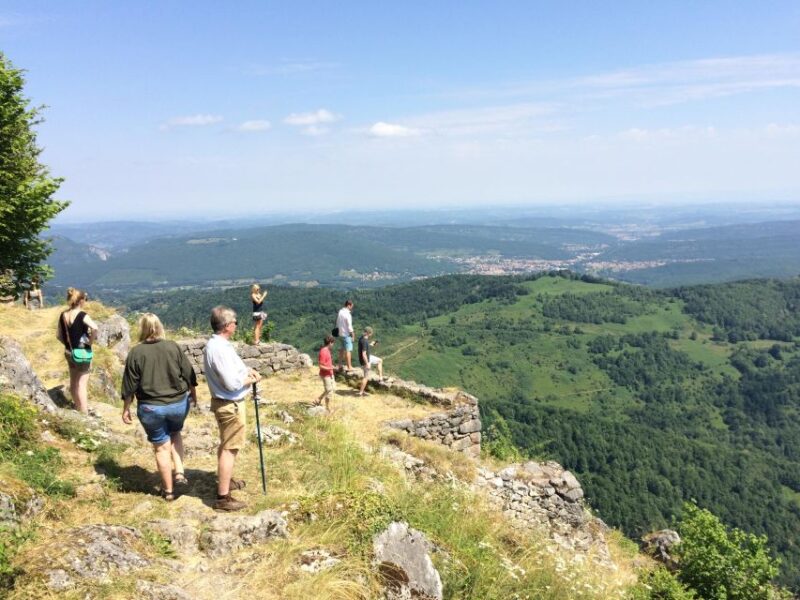 Mirepoix, castles of Montségur & Camon guided tour - Value and Booking Flexibility