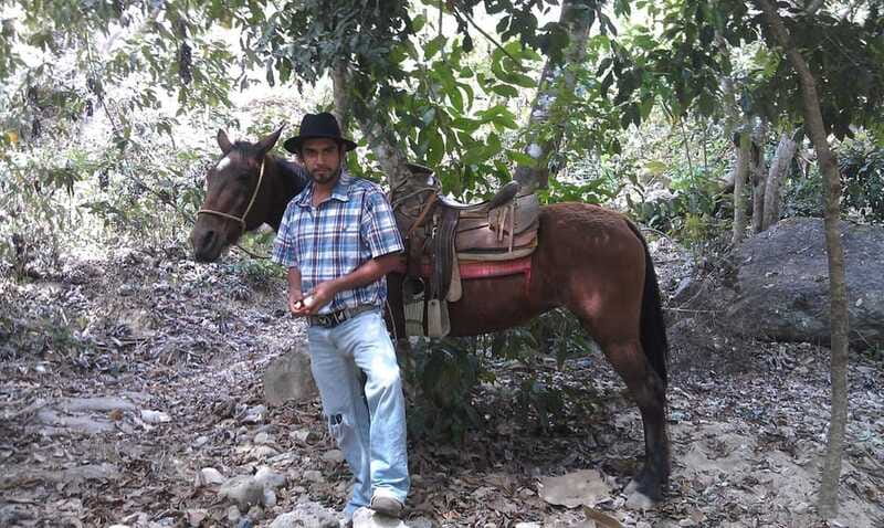 Mismaloya Jalisco: Rancho Manolo Horseback Tour - Key Points