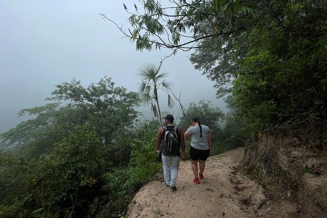 Mismaloya Waterfalls Jungle Hike Full Day Adventure - Starting Point at Starbucks in Zona Romántica