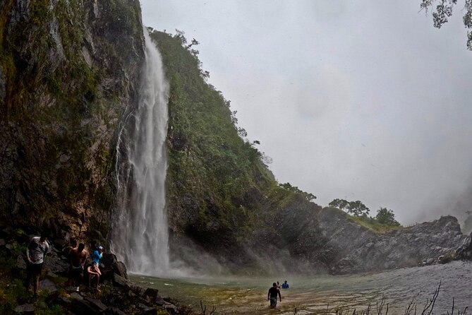 Mismaloya Waterfalls Jungle Hike Full Day Adventure - Guided Insights into Local Flora, Fauna, and Culture