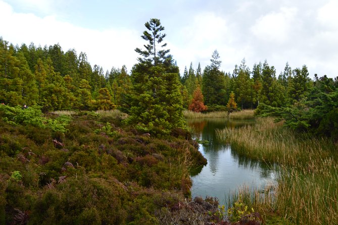 Mistérios Negros Hiking Trail - Terceira Azores - Unique Lava Formations and Rocks