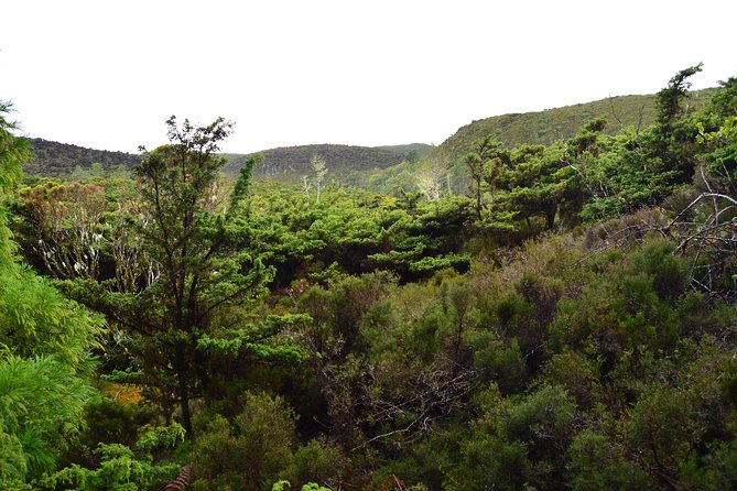 Mistérios Negros Hiking Trail - Terceira Azores - Practical Details and Tour Logistics