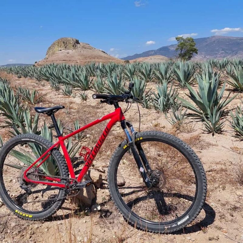 Mitla: Bike Tour to the Archaeological Zone and Caves with Rock Art - Key Points