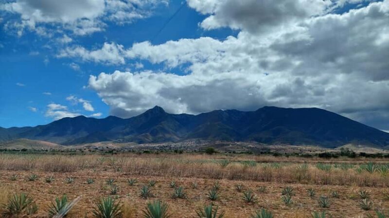Mitla: Bike Tour to the Archaeological Zone and Caves with Rock Art - Traditional Oaxacan Lunch in the Village