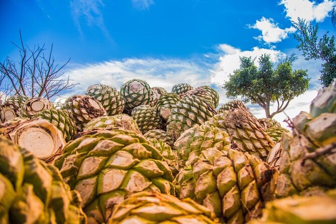Mitla, Tule, Hierve el agua and Teotilán - Key Points
