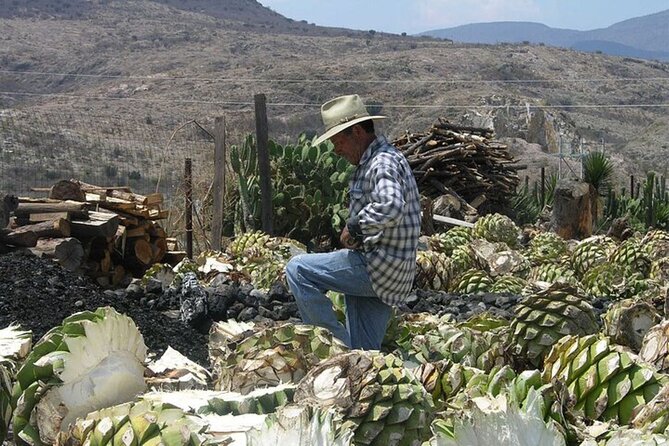 Mitla, Tule, Hierve el agua and Teotilán - Visiting Teotitlán del Valle: Artisans and Wool Rugs