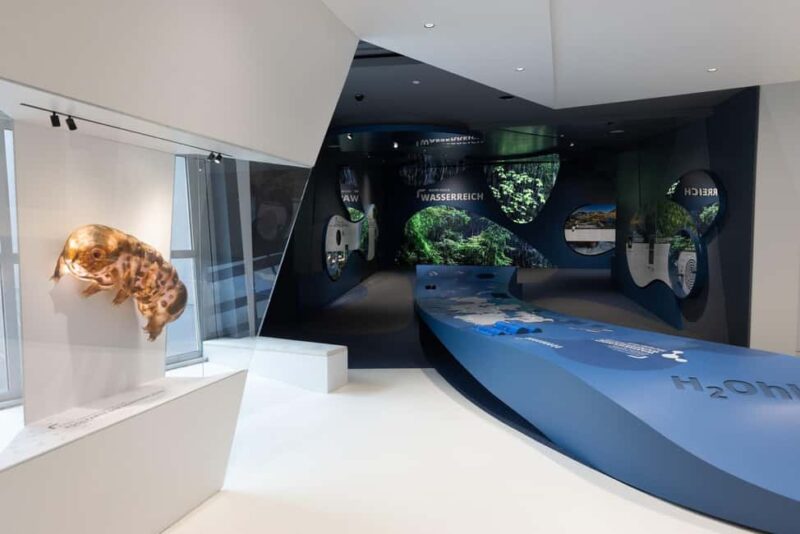 Mittersill: Visitors become "National Park Worlds Time Travelers" - Discover the 360° Panorama Cinema for a Summit Experience