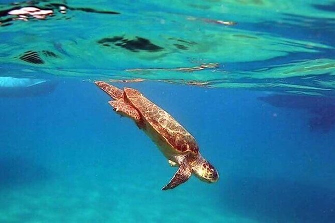 Mizithres Sunset Cruise in Zakynthos - Final Thoughts on the Mizithres Sunset Cruise in Zakynthos