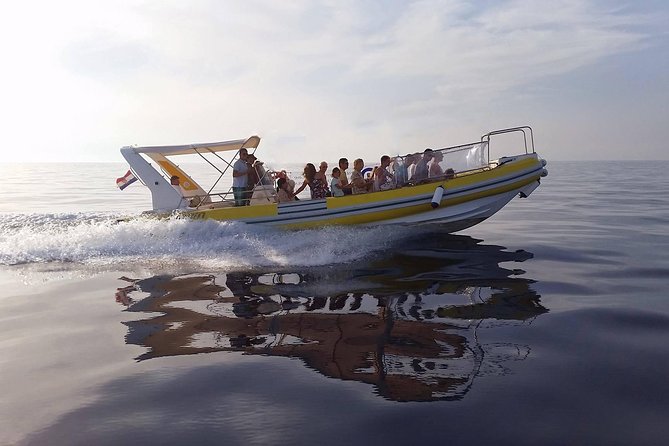 Mljet Island tour from Dubrovnik - Pickup and Departure Details in Dubrovnik