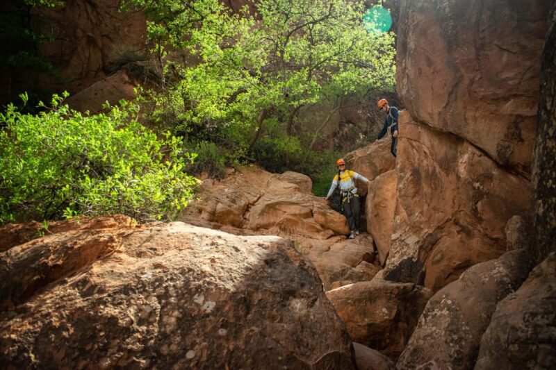 Moab: Ephedra's Grotto Half-Day Canyoneering - The Expert Guides and Safety Measures