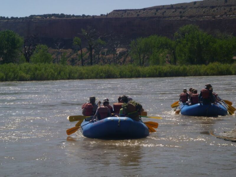 Moab: Full-Day Colorado Rafting Tour - Navigating the Fisher Tower Section of the Colorado River