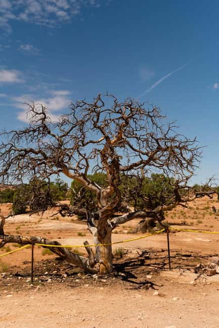 Moab Half Day Jeep Tour - Highlights: Canyons, Arches, and Petroglyphs