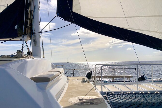 Moanas SwimnSail Cocktail Cruise Along the Waikiki Coast - Starting Off at Waikiki’s Kewalo Basin Harbor