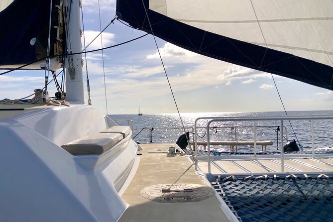 Moanas VIP Waikiki Turtle Snorkeling Experience on Nalu - Post-Snorkel Relaxation and Comfort on the Boat