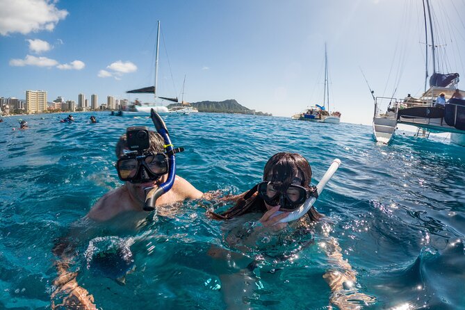Moanas Waikk Grand Guided Turtle Snorkel & Sailing Adventure - Scenic Sailing and Refreshing Bar Experience