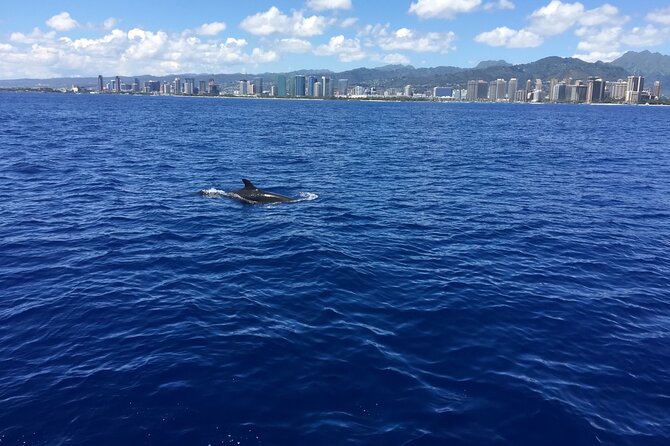 Moanas Waikk Whale Watching Exploration - Crew Expertise and Atmosphere on Board