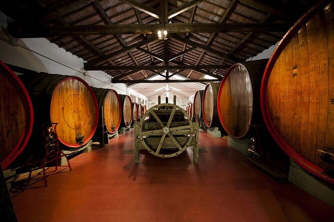 Modena area: Lambrusco Wine Tasting Experience - The Sum Up: Authentic and Educational Modena Wine Tour