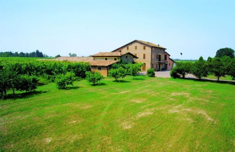 Modena: Balsamic Vinegar Tasting Experience - Guided by Experts: Giulia and Mattia’s Role in the Tour