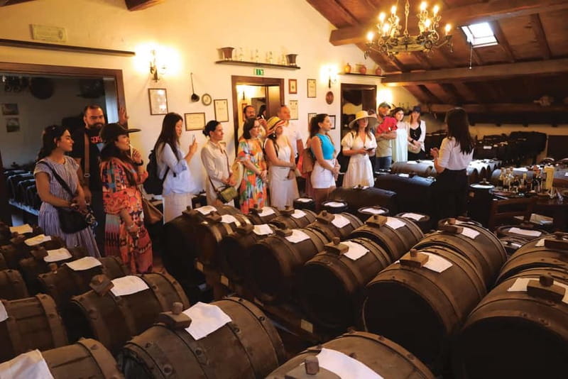 MODENA: BALSAMIC VINEGAR TOUR AND TASTING - Practical Booking and Cancellation Policies
