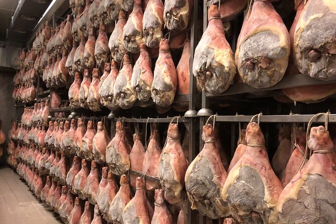 Modena Food:Prosciutto,Parmigiano,Balsamic,Wine,Lunch,Transport - Discover the Flavors of Emilia Romagna in a Full-Day Food Tour from Bologna