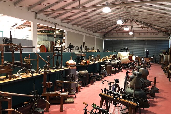 Modena Food:Prosciutto,Parmigiano,Balsamic,Wine,Lunch,Transport - The Experience of a Lifetime in Emilia Romagna