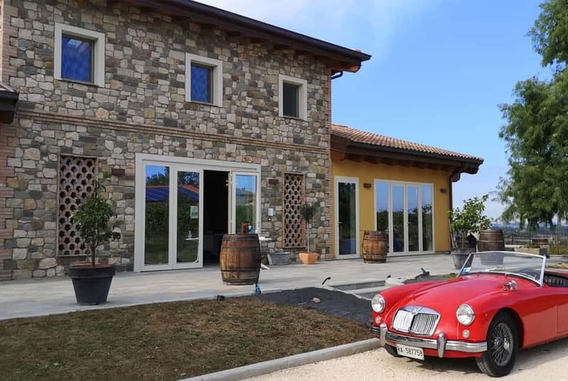 Modena: Guided Balsamic Vinegar Cellar Tour & Optional Meal - Key Points