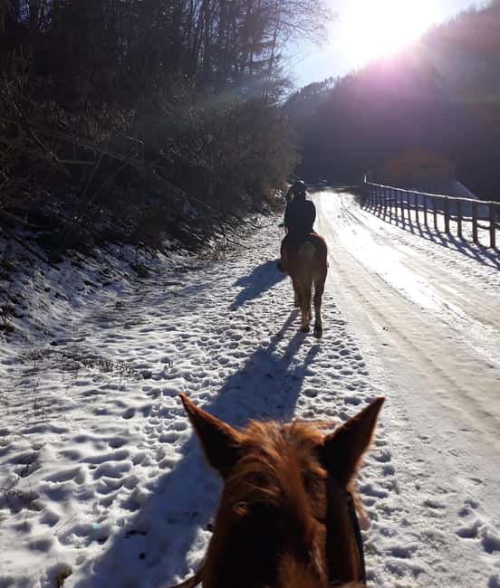 Modena: Horseback Riding Tour in the Apennines - Key Points