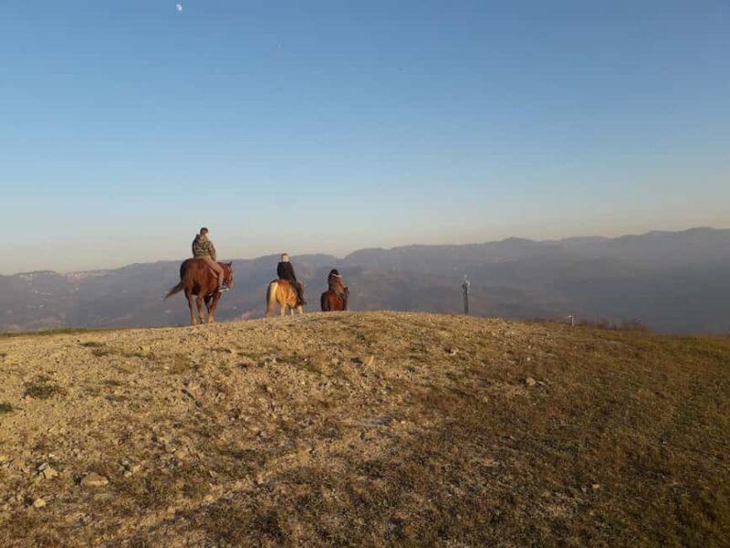 Modena: Horseback Riding Tour in the Apennines - The Scenic Trail at the Foot of Mount Cimone
