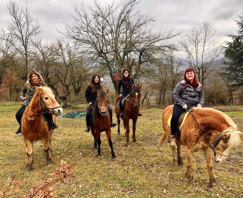 Modena: Horseback Riding Tour in the Apennines - Practical Details for a Smooth Ride
