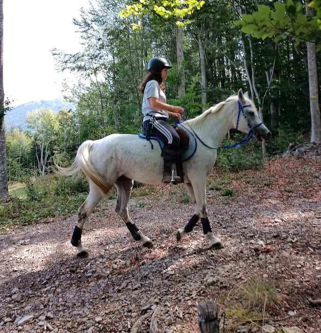 Modena: Horseback Riding Tour in the Apennines - Logistics and Group Experience