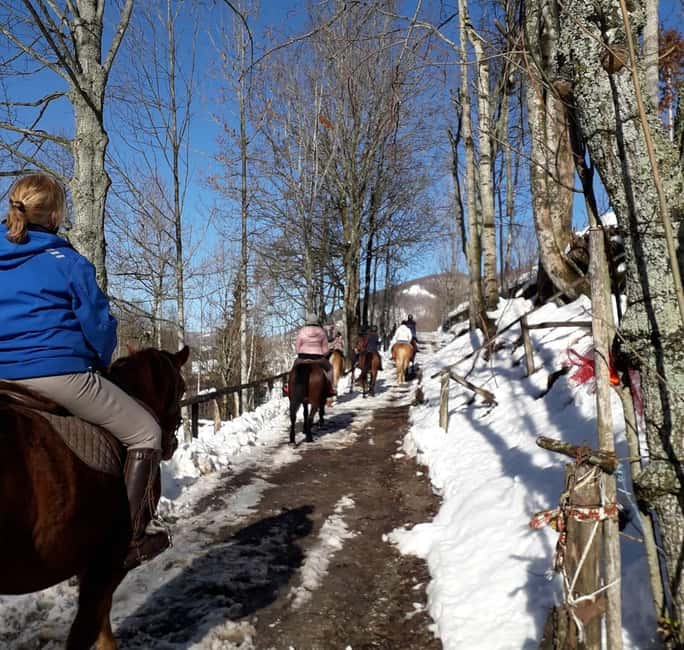 Modena: Horseback Riding Tour in the Apennines - Who Will Appreciate This Horseback Ride?