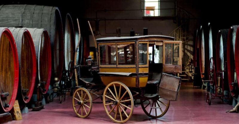 Modena: Lambrusco Wine Tasting and Cellar Tour - Key Points