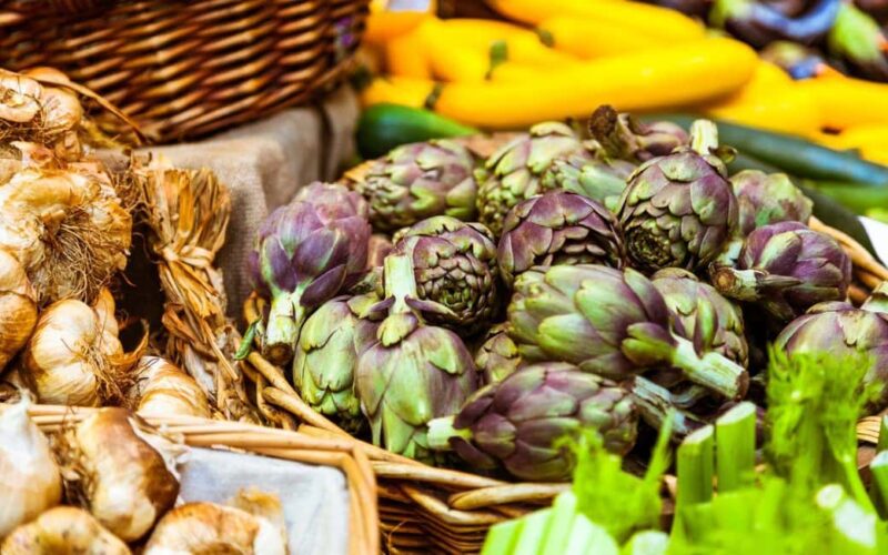 Modena Tour: Discover Food, Market & Highlights of the City - Key Points