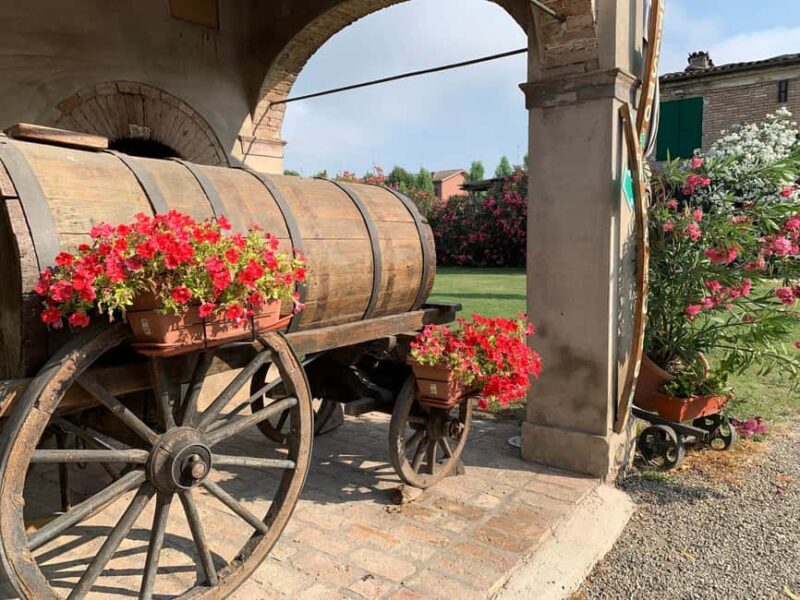 Modena: Visit and Tasting at an Antique Vinegar Cellar - Introduction to Paltrinieri Acetaia and Its Location in Emilia-Romagna