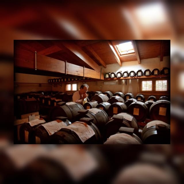Modena:Tour&Taste of Bio & Traditional Balsamic Vinegar DOP - Discover the Authentic Balsamic Vinegar of Modena with a Personal Touch