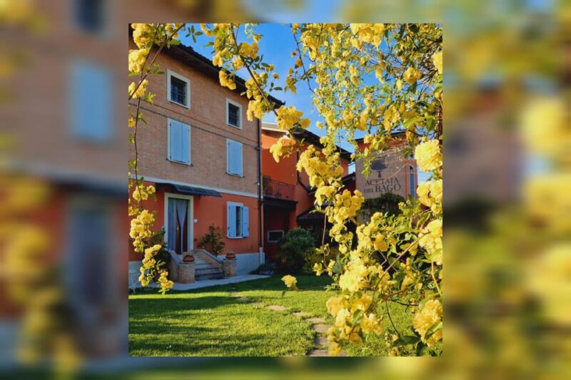 Modena:Tour&Taste of Bio & Traditional Balsamic Vinegar DOP - Exclusive Opportunity to Purchase Authentic Balsamic Products