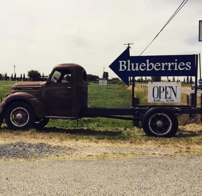 Modesto: Fruits and Roots Tour Driving Audio Guide Tour - Key Points