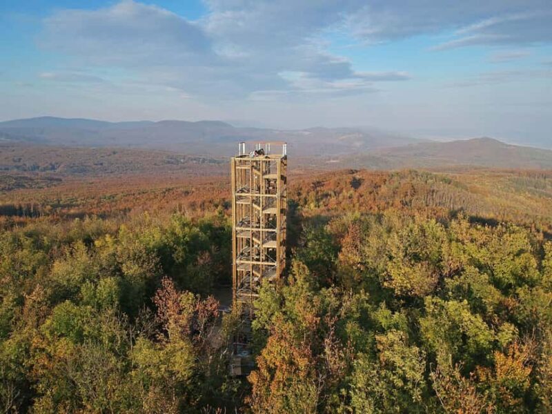 Modra & Pezinok hiking tour - Scenic Route Through the Little Carpathians Forests
