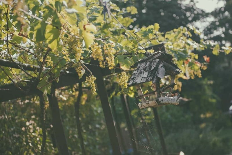 Modra: Private Wine Tasting at a Family-Operated Winery - Extensive Wine Selection with Unique Flavors