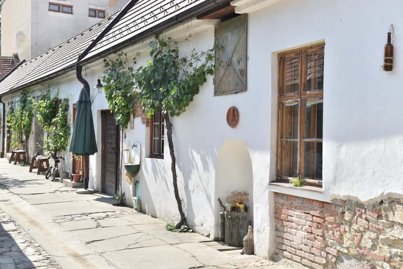 Modra: Private wine tasting guided by winery owner - Authentic Setting in a 17th-Century Building